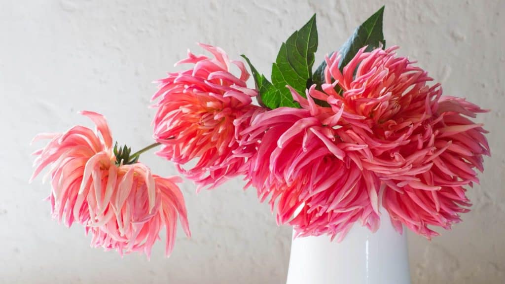 Home styling with flowers for spring