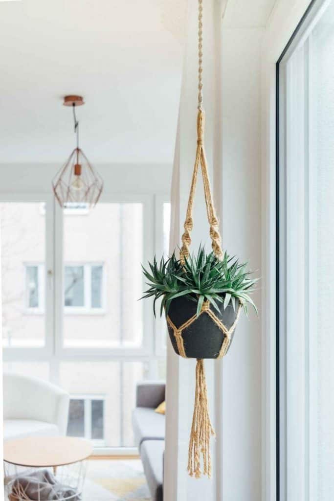 Plant styling by hanging the pots