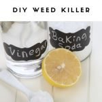 DIY Weed killer
