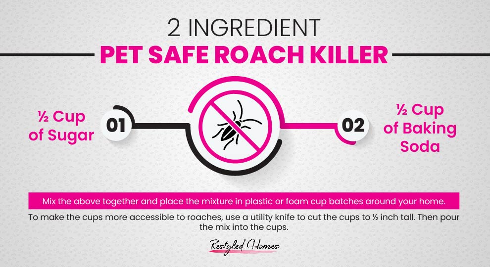 DIY Pet safe roach recipe