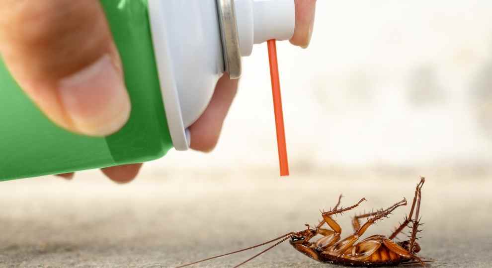et safe spray roach killer