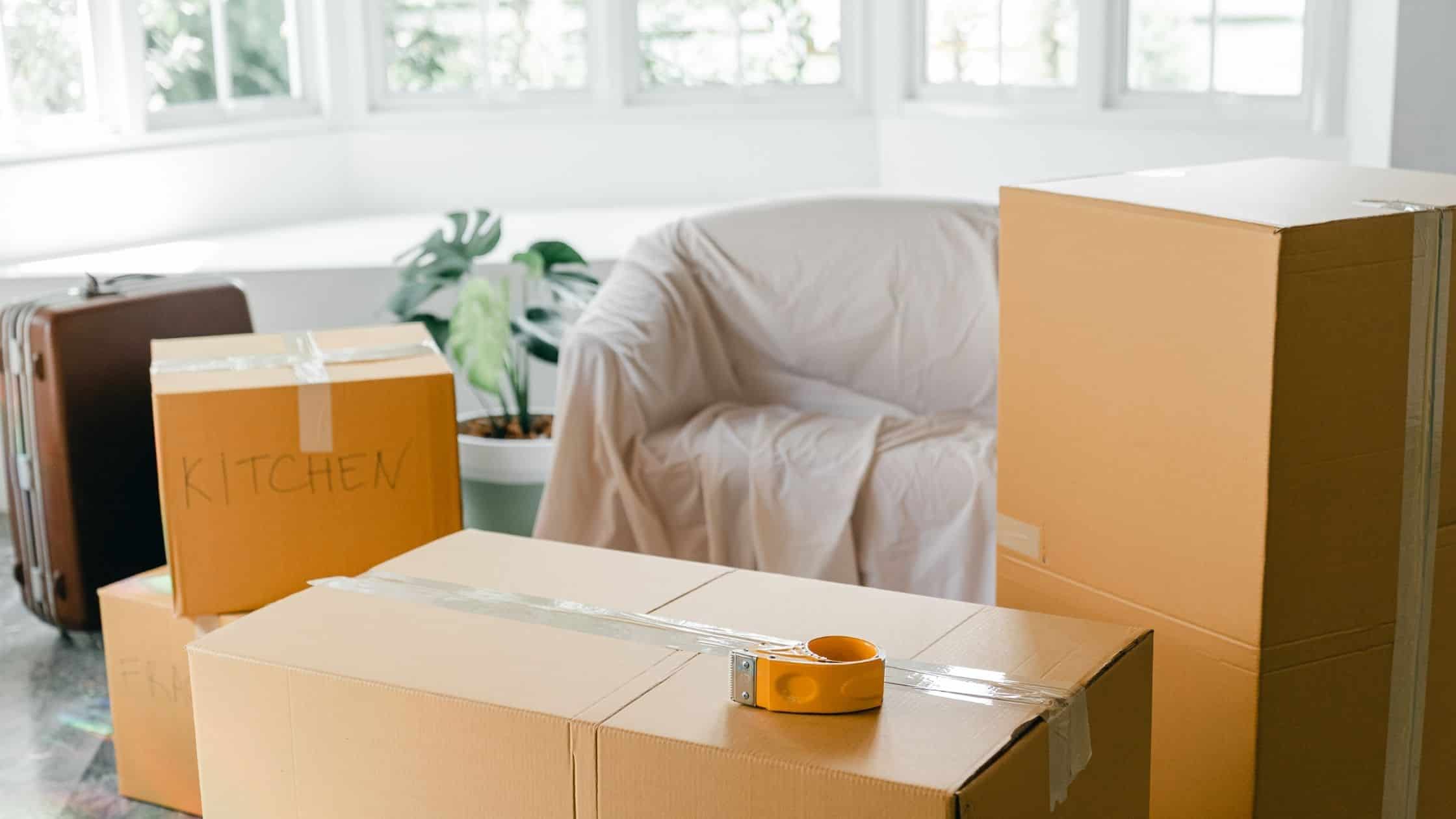 Read more about the article How Much To Tip A Mover? What’s The Cost!